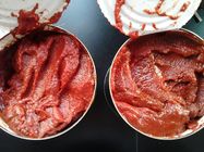 Холодным томатная паста законсервированная перерывом без странных запаха и предохранителей