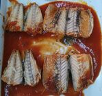 Рыбы метки частного назначения атлантической законсервированные скумбрией в томатном соусе без перца Чили