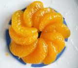 Пожелтейте законсервированную форму куска апельсинов мандарина в светлом/тяжелом сиропе