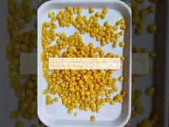 Откройте для себя разнообразие консервированной сладкой кукурузы, подходящей для любого рецепта