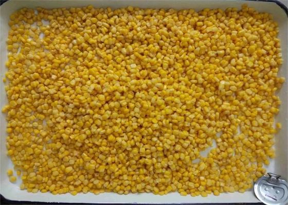 Premium Canned Sweet Corn with Bulk Packaging for Foodservice and Retail