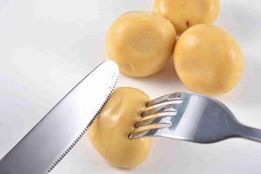 чистый гриб Champignon естественного вкуса 400g законсервированный