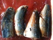 Рыбы скумбрии могут/самые здоровые законсервированные витамины и минералы скумбрии богатые