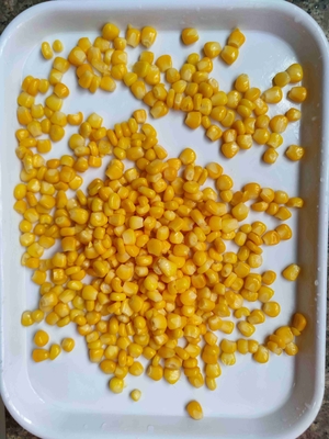 Add Flavor and Nutrition with Canned Sweet Corn in Metel Tin Packaging