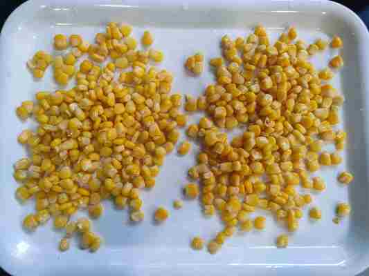 Свежая кукуруза Консервированная сладкая кукуруза для фруктов и грибов