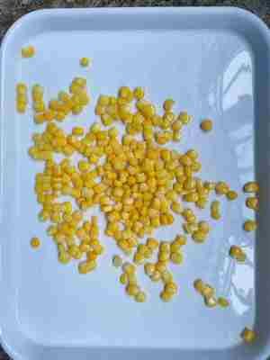 Консервированная сладкая кукуруза, пригодная для еды