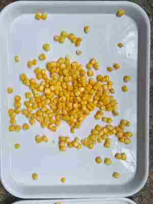 Часть Сладкая кукуруза Ядро Консервированная сладкая кукуруза Загрузка Аллергены могут содержать следы сои и пшеницы