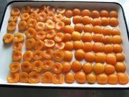 Дешевые половины абрикосов законсервированного плода законсервированные в светлом сиропе с частным брендом