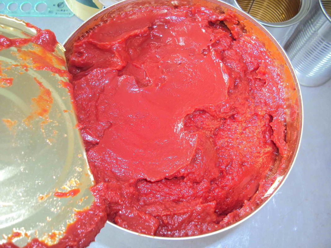 Консервируя свежий томатный соус, томатная паста может коммерчески стерилизация