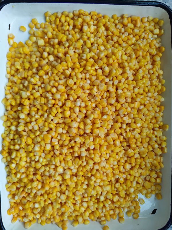 Top Quality Canned Sweet Corn 425g Net Weight for Cool Dry Storage in Restaurants and Food Manufacturers