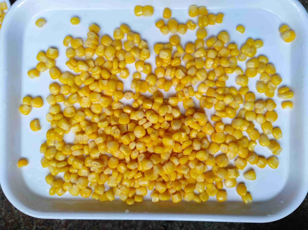 Fresh Corn Material Canned Sweet Corn 425g X 24 Store In A Cool Environment Perfect For Food Processing