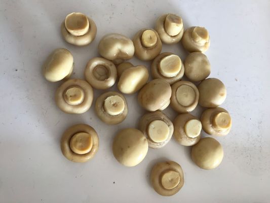 Консервированные овощи в стиле грибов шампиньонов с чистым натуральным вкусом, консервированные грибы шампиньоны для пищевой промышленности