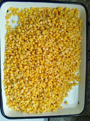 425 г х 24 консервированной сладкой кукурузы с свежими зернами сладкой кукурузы высочайшего качества для производителей продуктов питания