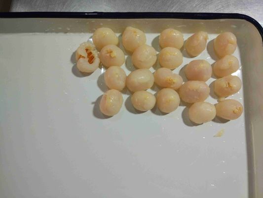 Культивирование Lychee GMO консервации сиропа 15 Oz законсервировало плод