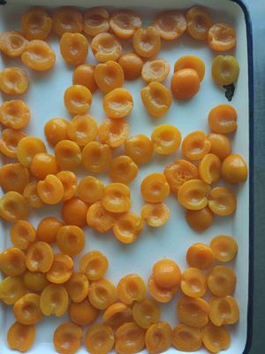 Культивирование GMO уменьшает вдвое консервируя заповедники абрикосов в воде